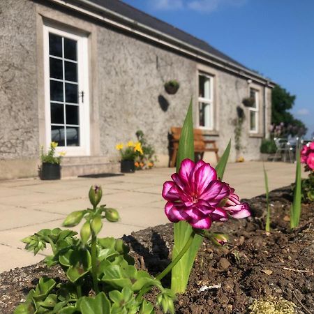 Ballyconnelly Cottages, Galgorm Area Cullybackey Esterno foto