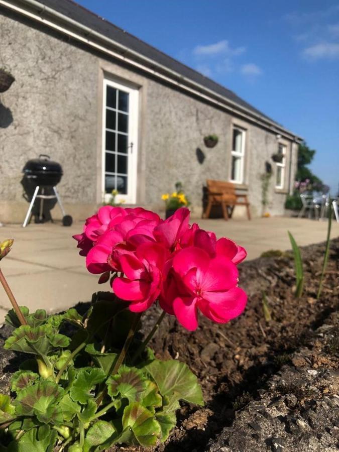 Ballyconnelly Cottages, Galgorm Area Cullybackey Esterno foto
