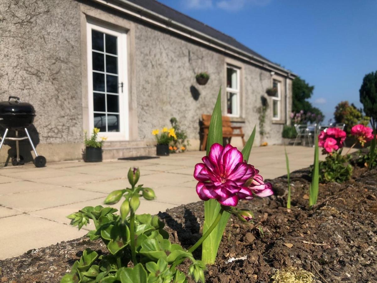 Ballyconnelly Cottages, Galgorm Area Cullybackey Esterno foto